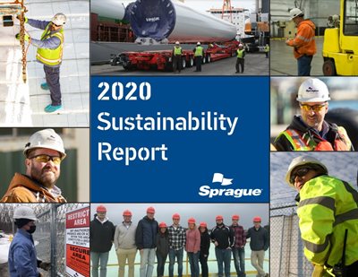 2020-Sustainability-Report-Cover.jpg